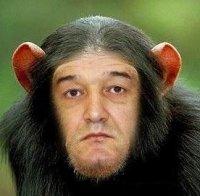 Becali